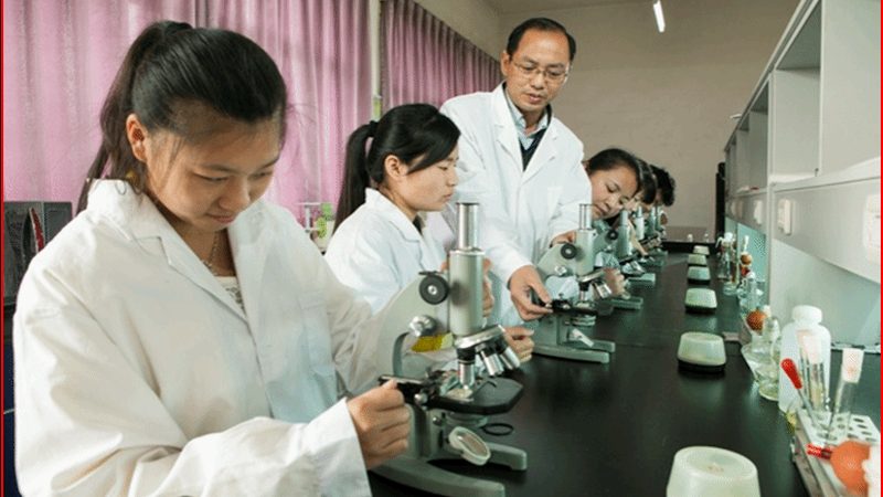 广州GMP车间装修，如何精准把握成本与质量？**