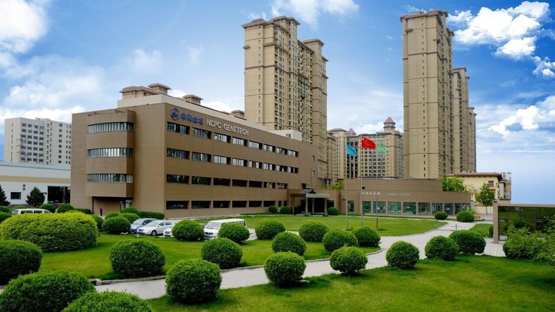 2024年医药中间体生产厂家排名，揭秘行业实力与趋势